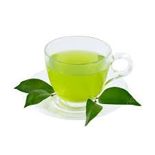 Top 10 Must-Have Gadgets in 2025